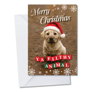 Merry Christmas Ya Filthy Animal